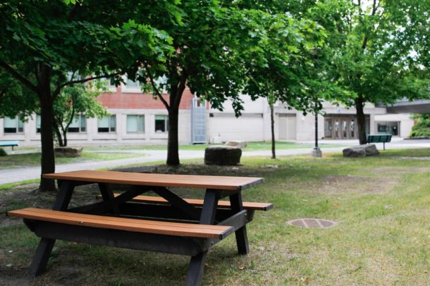 Empty picnic table near a major thoroughfare on the Algonquin campus