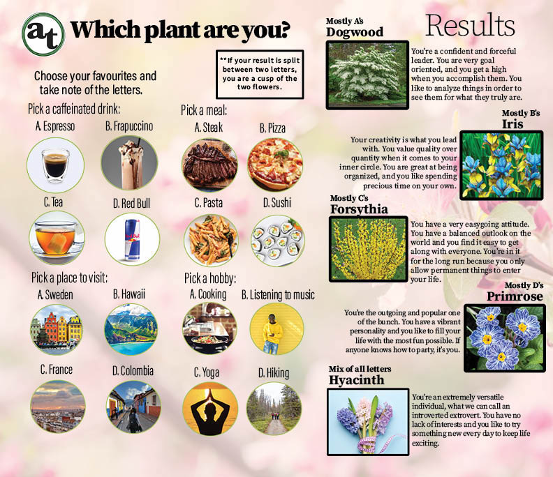Which Plant are You?