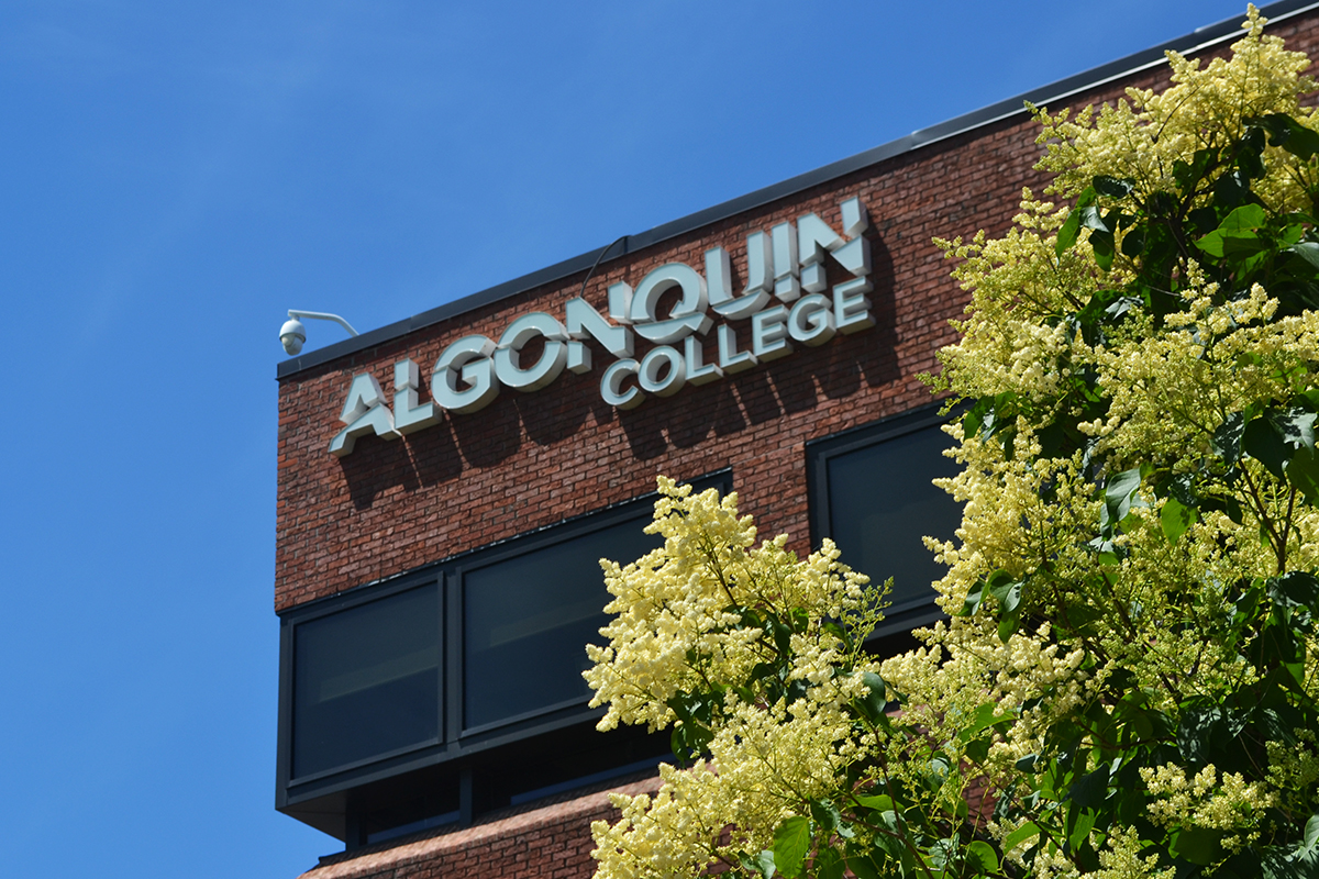 Algonquin College approves a strategic plan considered a milestone for the college