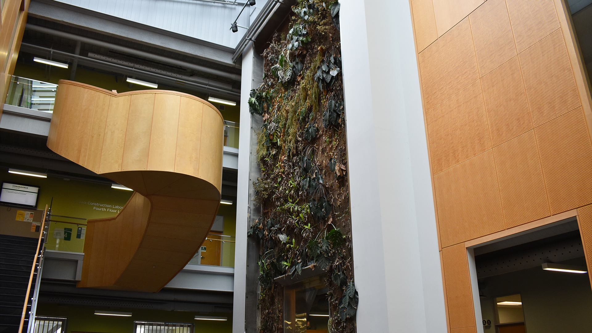 The Bio Wall - known also as the living wall - is one of Algonquin College's most unique displays. It will now have to be restored and may take many months of hard work.