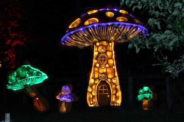Walking down one of the several paths decorated for Pumpkinferno, one was able to view breathtaking creations such unicorns and other fantasy creatures, including this mushroom house.  With every passing second one expected the door to open and a mythological creature to emerge.