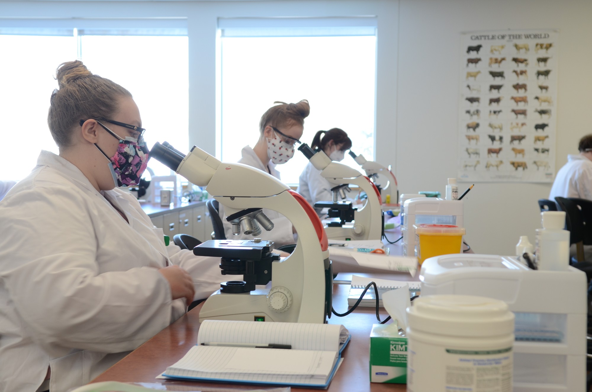 The vet tech students learn about parasitology, among other subjects, in lab classes held on campus.