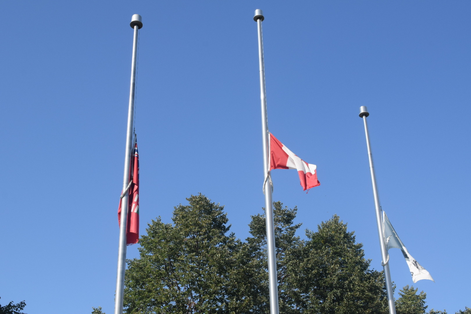 Flags at half-mast at the Algonquin College Ottawa campus.