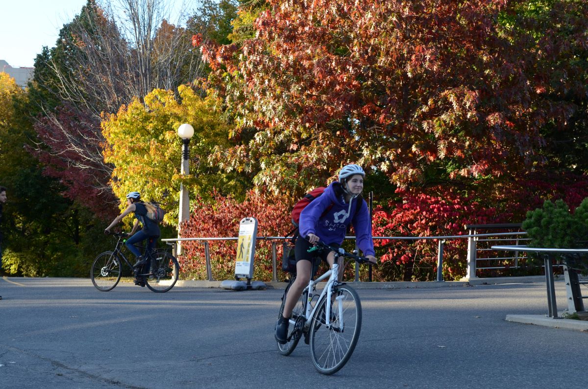 On a warm and sunny October afternoon, cyclists pack a pathway near the Rideau Canal.
