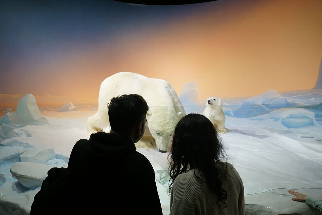 Tanay Shah (left) and Pragya Parmar (right) pose in front of a polar bear diorama at the Canadian Museum of Nature on Thursday.