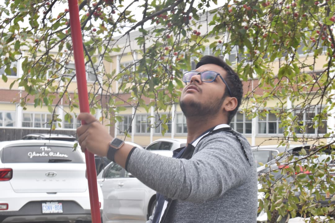 Eshaan Bansal volunteered to pick apples for the culinary student program to reduce waste.