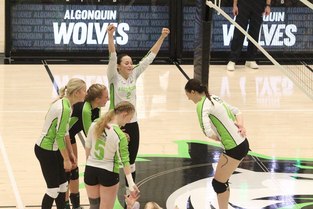 The Wolves praise Erin Cunningham for an outstanding kill for a point.