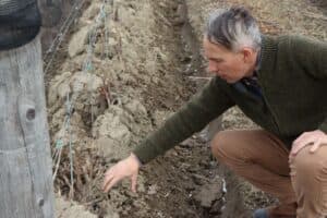 Winemaker Brian Hamilton, who teaches at Algonquin College for the Sommelier College Certificate, shows how vines are buried with soil to protect them from the cold winter.