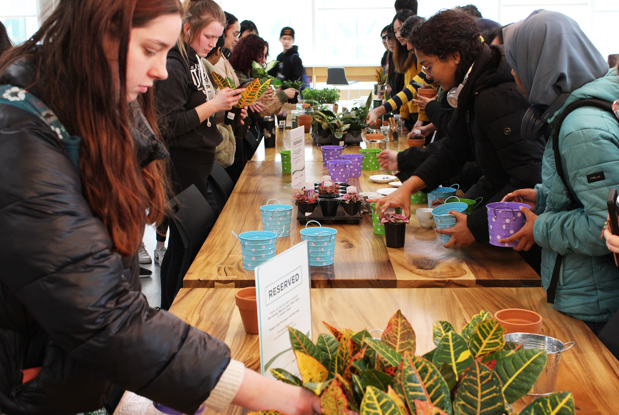 Students form lines around main table to collect the pots and plants they want.