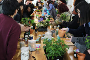 Students at the end of the table customizing their plants with colourful rocks.