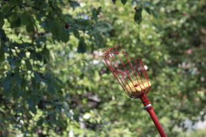 An apple picker with a crabapple inside.
