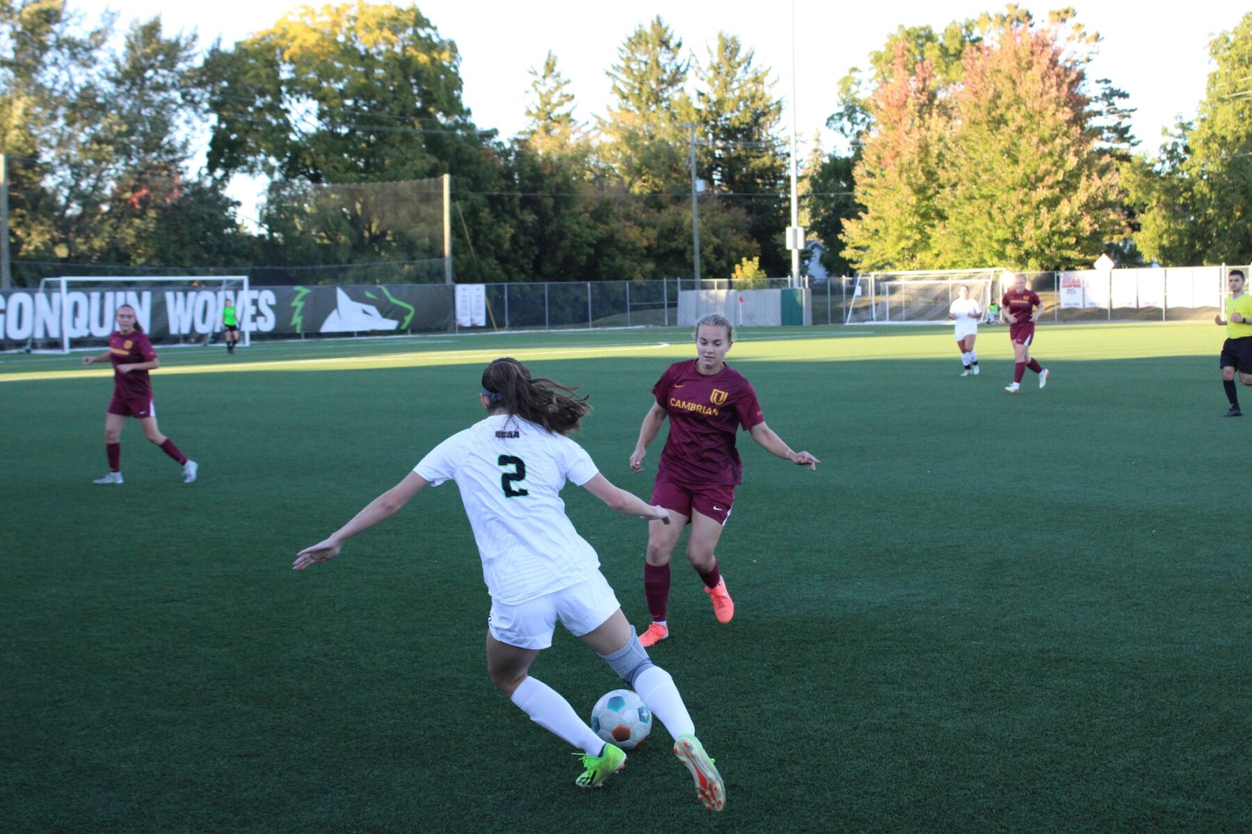 The Wolves' Anna Dubeau attacks Cambrian defender at Algonquin Sports Field on Sept. 19, 2025 against Cambrian College.