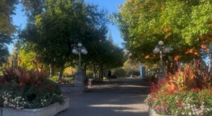 Ottawa trails at Major's Hill Park in the morning.