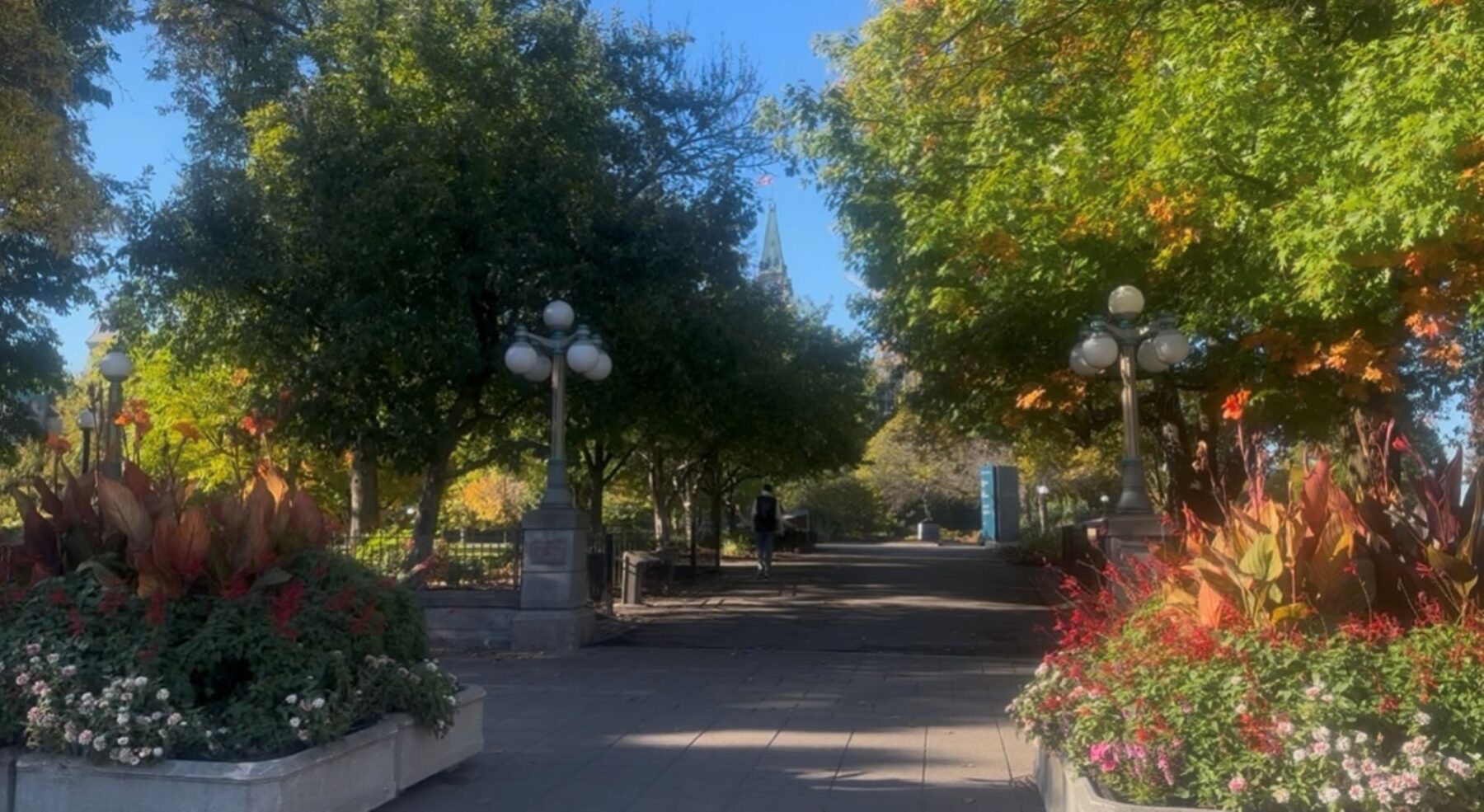 Ottawa trails at Major's Hill Park in the morning.