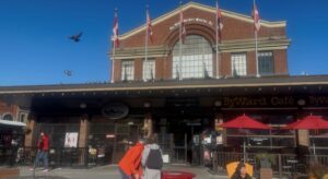 ByWard Market in the morning where pedestrians watch birds fly.