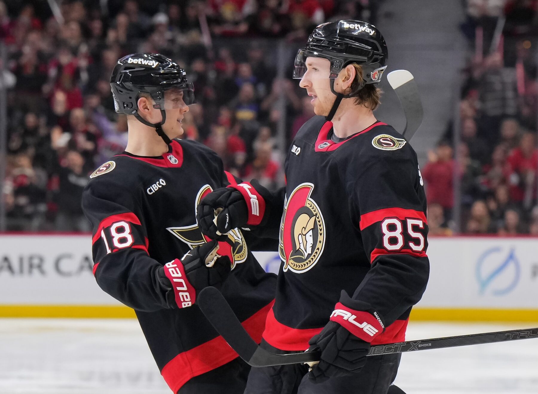 Tim Stutzle (left) celebrates a goal with Jake Sanderson (right) during a home game.