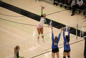 Wolves hitter Chanel Ethier hitting a spike in the Jack Doyle Athletics and Recreation Centre on Nov. 22.