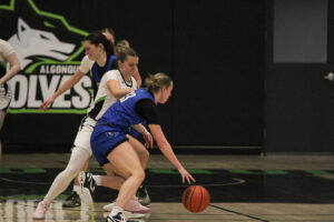 Taryn Mitchell playing defence against one of the top scorers for Georgian College Grizzlies Ami May Nov. 15 in the Jack Doyle Athletics Centre at Algonquin College.