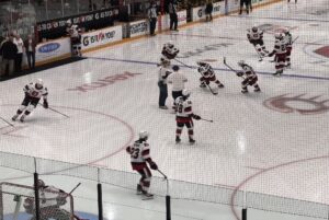 The Ottawa 67's come on to the ice for the first period against the North Bay Battalion at TD Place on November 30.