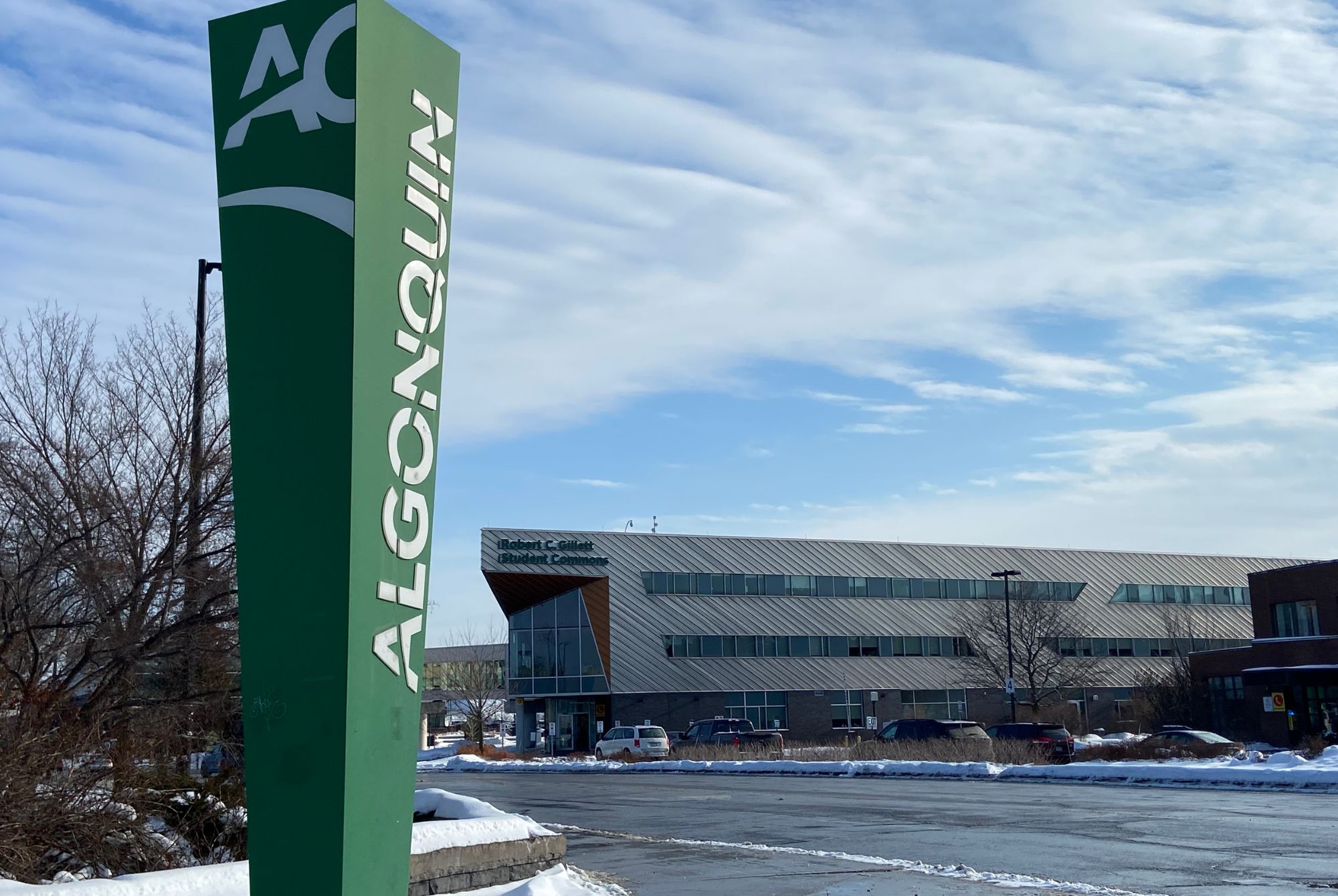 Algonquin College's Board of Governors is poised to vote on 30 program suspension recommendations.