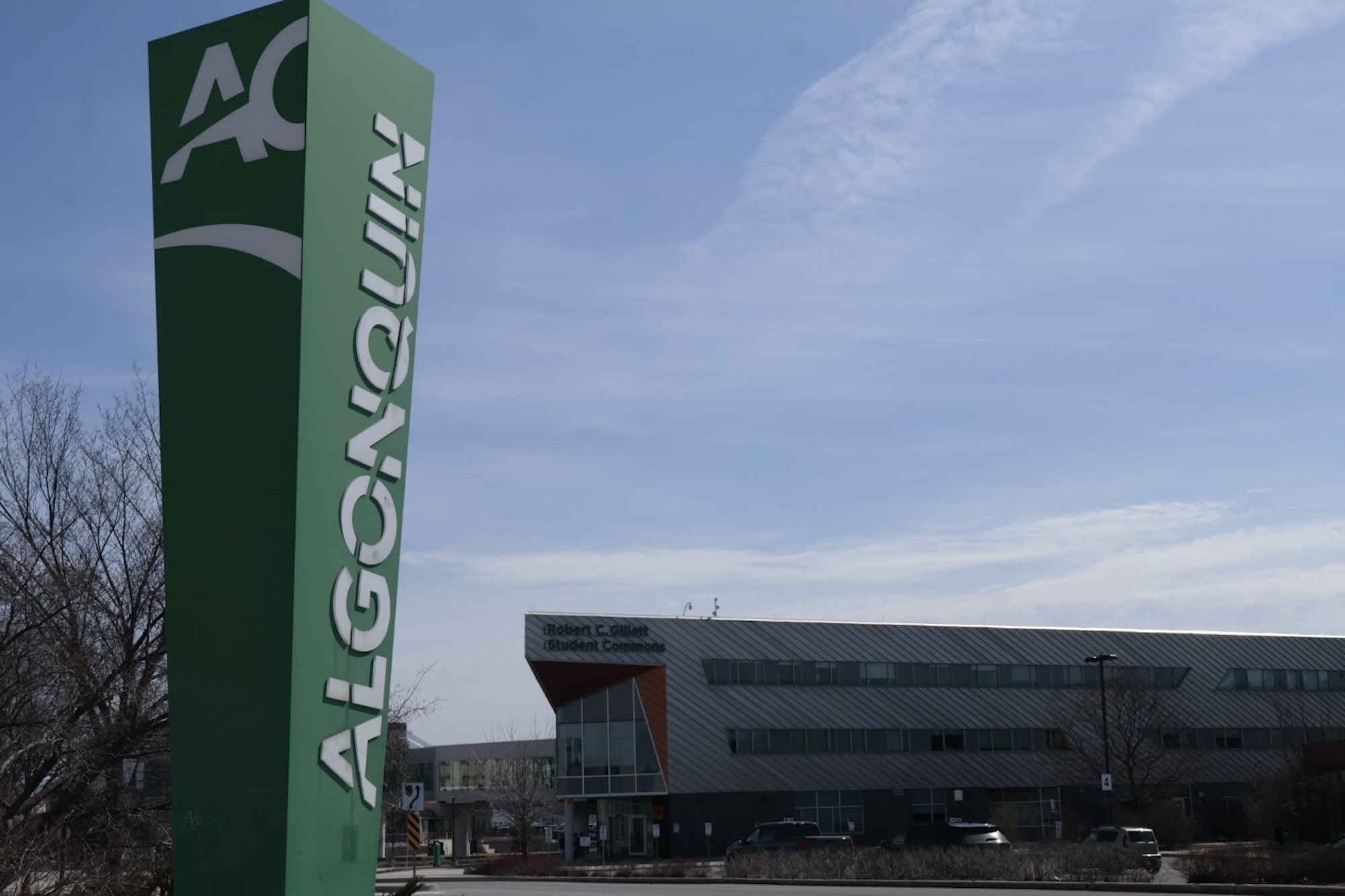 Algonquin College has cancelled over 60 programs since January 2025, citing ongoing financial issues as the problem.