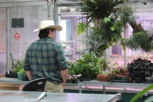Horticulture student Eric Forero-Visbal looking out over the plants in the greenhouse.