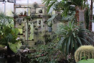 A gallery wall in the greenhouse.