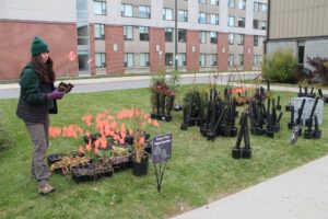 Leann Byatte of Forêt Capitale Forest said Algonquin College's new tiny forest consists of 40-50 native tree, shrub and plant species.