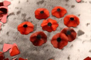 Eight finished poppies made by workshop participants.